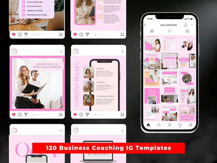 500 Editable Planner Templates l SBB Business Coaching Bundle l Social Media Posts, Story, Carousel